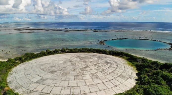 High radiation levels found in giant clams near U.S. nuclear dump in Marshall Islands