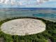 High radiation levels found in giant clams near U.S. nuclear dump in Marshall Islands