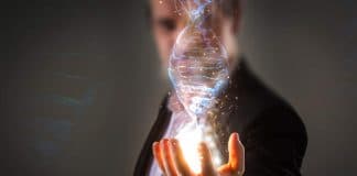 The Genetic Modification of Human Life is “Big Business” Human genome research. Genetic modification. Biotechnology of future