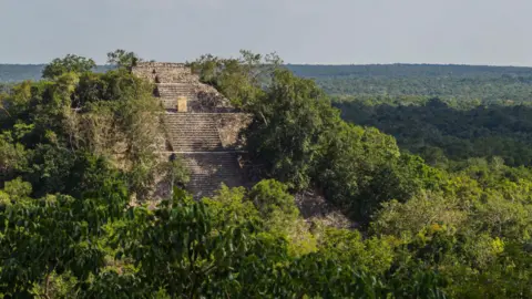 Getty Images A photograph of the Calakmul Mayan temple pyramid ruins in Campeche, Mexico