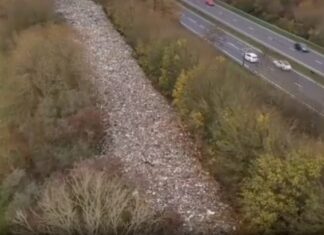 Hundreds of tons of waste dumped in southern England spark ‘ecological disaster’ warning