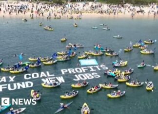 Climate protesters in kayaks disrupt operations at Australia port