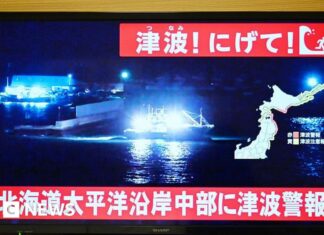 Major earthquake strikes Japan's north-east coast