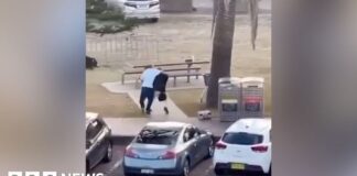 Eyewitness captures moment man tackles and disarms Bondi shooter