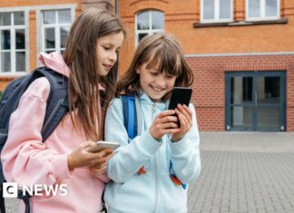 French MPs take first step to ban social media for under-15s