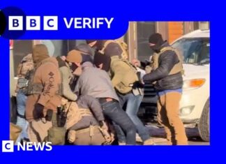 Analysing the Minneapolis shooting frame by frame