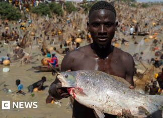 Catch of the day: Pictures from spectacular Nigerian fishing festival
