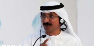 Head of Dubai-based ports giant quits after Epstein links revealed