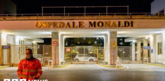 Italian toddler dies after transplant with heart 'burned by frostbite'