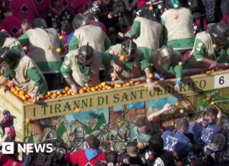 Flying oranges: Italian town celebrates carnival with historic street battle