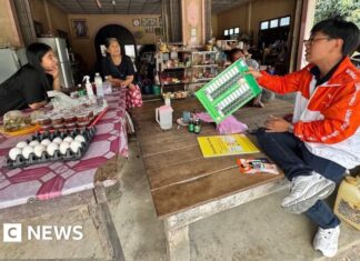 Political outsiders are up against Thailand's powerful patronage system, defeated MP tells BBC