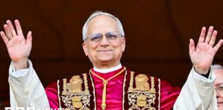 Pope Leo to visit four African countries in April