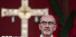 Israeli police block Latin Patriarch from Palm Sunday mass in Jerusalem