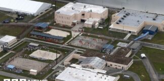 Mexican teen dies while being held in US immigration custody