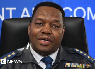 South Africa's police chief to appear in court over controversial health contract