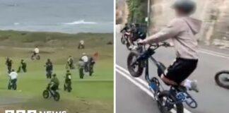 Fatbikes are wreaking havoc in Sydney's wealthy beach suburbs