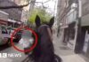 Officer on horseback chases suspect through New York streets