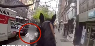 Officer on horseback chases suspect through New York streets