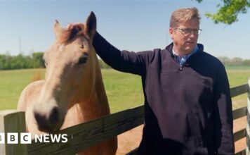 ICE wanted to build a detention centre – this small farming town said no