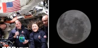 'Absolutely spectacular': Artemis II crew see first glimpse of far side of Moon
