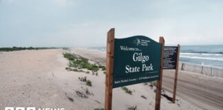 This idyllic US town was full of police families – and a serial killer in their midst