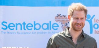 Prince Harry sued for defamation by charity Sentebale he co-founded