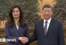 Taiwan opposition leader meets Xi Jinping in Beijing