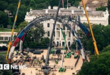 Watch: UFC arena construction begins at White House ahead of fight