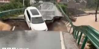 Watch: Bridge collapses and car swept away in China river