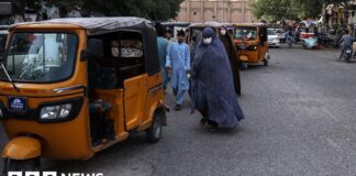 Two reportedly killed as women take part in rare protest in Afghanistan