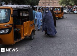 Two reportedly killed as women take part in rare protest in Afghanistan