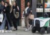 'We had to get out of the way': The backlash over delivery robots