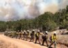 Three firefighters die battling huge wildfires on Colorado-Utah border