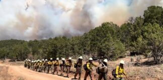 Three firefighters die battling huge wildfires on Colorado-Utah border