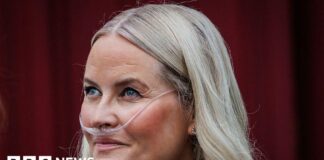 Norway's crown princess undergoes successful lung transplant, palace says