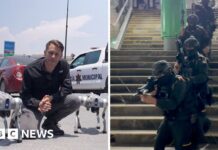 Robodogs and Black Hawks – How one Mexican city is preparing for the World Cup