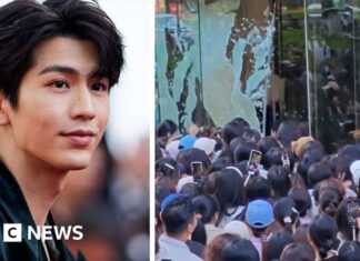 Watch: Fans break glass door trying to see Netflix star