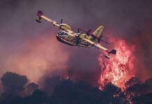 Devastating European wildfires in maps – and how they're being tackled
