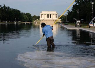 Former Olympian indicted for allegedly vandalising Washington Reflecting Pool