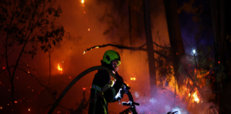 France battles fire 'whirlwinds' as another 55,000 evacuated