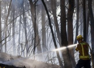 Twelve die in wildfire in Spain as heatwave continues in southern Europe