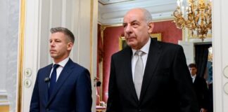 Hungary parliament votes to remove president from office